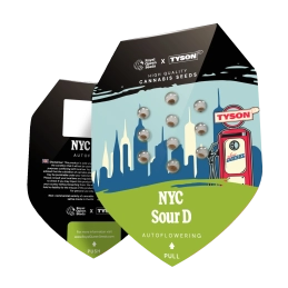 NYC Sour D Auto - Tyson 2.0 x RQS - WWW.SEEDS-BANK.CZ