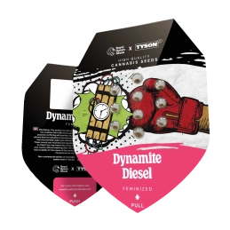 Dynamite Diesel - Tyson 2.0 x RQS - WWW.SEEDS-BANK.CZ