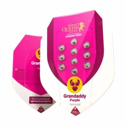 GRANDDADY PURPLE - Royal Queen Seeds - WWW.SEEDS-BANK.CZ
