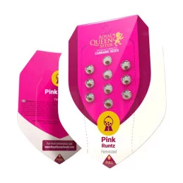 PINK RUNTZ - Royal Queen Seeds - WWW.SEEDS-BANK.CZ