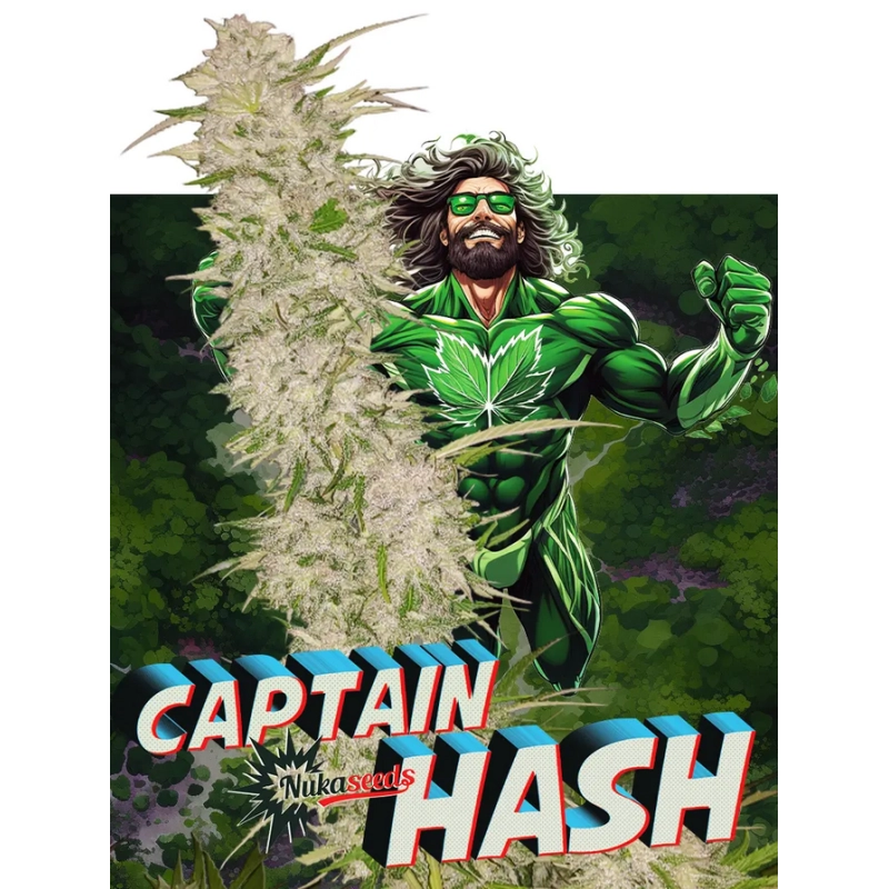 Captain Hash - Nuka Seeds