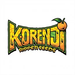 Korenji - Ripper Seeds - Feminizovaná semena - WWW.SEEDS-BANK.CZ