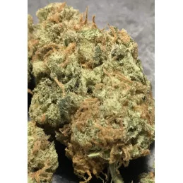 WASHING MACHINE - Ripper Seeds - terpeny