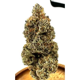 ChemPie - Ripper Seeds - Feminizovaná semena - palice