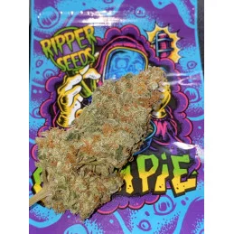 ChemPie - Ripper Seeds - Feminizovaná semena - květ a balení