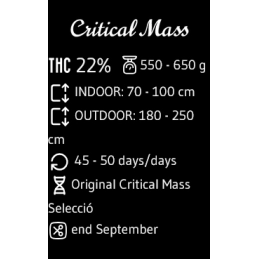 Critical Mass - Advanced Seeds - Feminizovaná semena INDICA - WWW.SEEDS-BANK.CZ