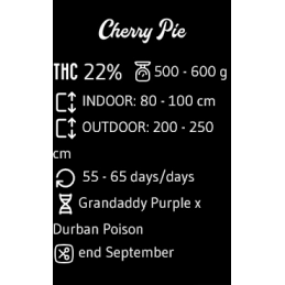 Cherry Pie - Advanced Seeds - Feminizovaná semena INDICA - WWW.SEEDS-BANK.CZ