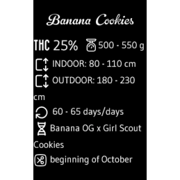 Banana Cookies - Advanced Seeds - INDICA femizovaná semena - WWW.SEEDS-BANK.CZ JIHLAVA