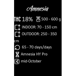 Amnesia - Advanced Seeds - femizovaná semena - WWW.SEEDS-BANK.CZ JIHLAVA Specifikace