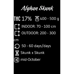 Afghan Skunk - Advanced Seeds - HYBRID femizovaná semena - WWW.SEEDS-BANK.CZ JIHLAVA