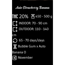 AUTO Strawberry Banana - Advanced Seeds - INDICA samonakvétací semena - WWW.SEEDS-BANK.CZ JIHLAVA