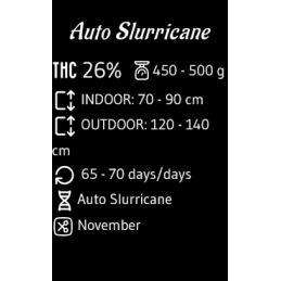 Auto Slurricane - Advanced Seeds - INDICA samonakvétací semena - WWW.SEEDS-BANK.CZ JIHLAVA specifikace