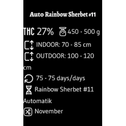 Auto Rainbow Sherbet#11 - Advanced Seeds - INDICA samonakvétací semena - WWW.SEEDS-BANK.CZ JIHLAVA