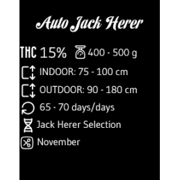 Auto Jack Herer - Advanced Seeds - Samokvetoucí semena konopí SATIVA - WWW.SEEDS-BANK.CZ