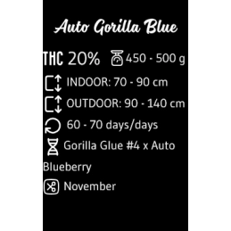 Auto Gorilla Blue - Advanced Seeds - HYBRID samonakvétací semena - WWW.SEEDS-BANK.CZ JIHLAVA