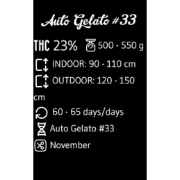 Auto Gelato #33 - Advanced Seeds - INDICA samonakvétací semena - WWW.SEEDS-BANK.CZ JIHLAVA