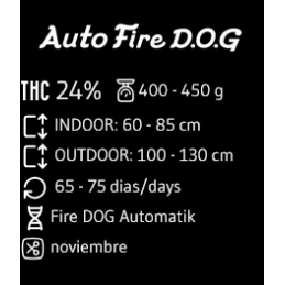 Fire D.O.G. Auto - Advanced Seeds - Samokvetoucí semena konopí INDICA - WWW.SEEDS-BANK.CZ