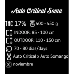 Critical Soma Auto - Advanced Seeds - Samokvetoucí semena konopí INDICA - WWW.SEEDS-BANK.CZ specifikace
