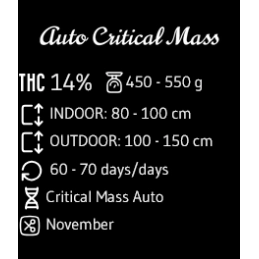 Critical Mass Auto - Advanced Seeds - Samokvetoucí semena konopí INDICA - WWW.SEEDS-BANK.CZ