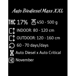 BioDiesel Mass XXL Auto - Advanced Seeds - Samokvetoucí semena konopí INDICA - WWW.SEEDS-BANK.CZ Specifikace