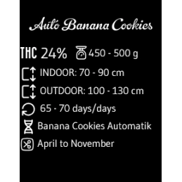 Banana Cookies Auto - Advanced Seeds - Samokvetoucí semena konopí INDICA - WWW.SEEDS-BANK.CZ