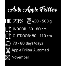 Apple Fritter Auto - Advanced Seeds - Samokvetoucí semena konopí INDICA - WWW.SEEDS-BANK.CZ