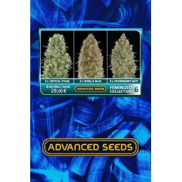 Feminized Collection #6 - Advanced Seeds - Feminizovaná semena - WWW.SEEDS-BANK.CZ