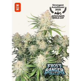 Frostbanger Auto - Fast Buds - WWW.SEEDS-BANK.CZ Jihlava