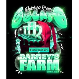 Bubblegum Gelato - Barney´s Farm - INDICA 60% - Feminizovaná semena - SEEDS-BANK.CZ JIHLAVA