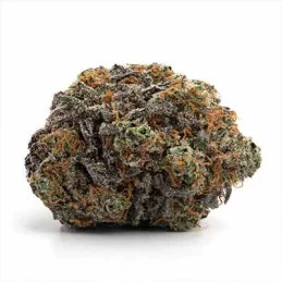 Bubblegum Gelato – detail květu s trichomy, 60/40 indica‑sativa strain