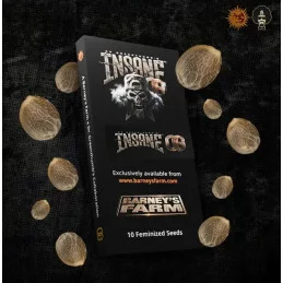 Insane OG - Barney´s Farm - INDICA 75% - Feminizovaná semena - SEEDS-BANK.CZ JIHLAVA obal