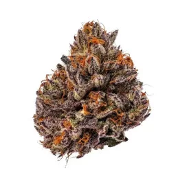Tropicana Cherry - Barney´s Farm - sušina