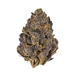 Thin Mint x Sour Pinot Auto Barney’s Farm – detail palice