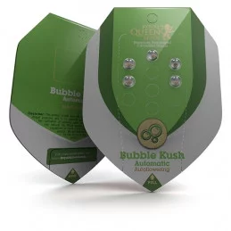 Bubble Kush Automatic - Royal Queen Seeds - autoflowering marihuany