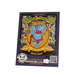 Black Jack® – Sweet Seeds - 5ks