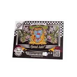 + Speed Auto - Sweet Seeds - autoflowering