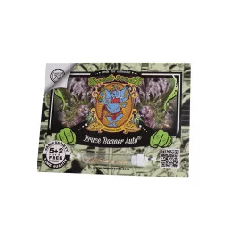 Bruce Banner Auto Sweet Seeds – obal 5+2 semena zdarma