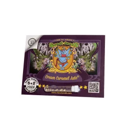 Cream Caramel Auto Sweet Seeds – obal 5+2 semena zdarma