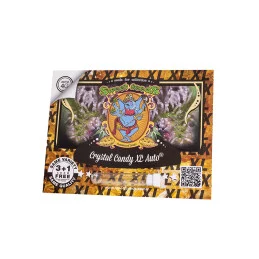 Crystal Candy XL Auto Sweet Seeds – obal 3+1 semeno zdarma