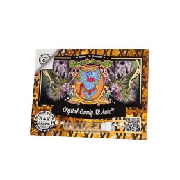 Crystal Candy XL Auto Sweet Seeds – obal 5+2 semen zdarma