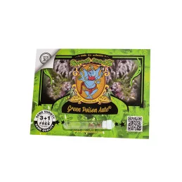 Green Poison Auto Sweet Seeds – obal 3+1 semeno zdarma