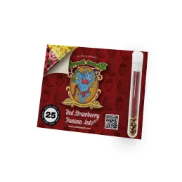 Red Strawberry Banana Auto® - Sweet Seeds - obal 25 semen