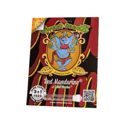 Red Mandarine F1 Fast Version - Sweet Seeds - obal balení semen 3+1 zdrama