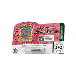 Pink Guava F1 Fast Version® - Sweet Seeds - originální balení semen