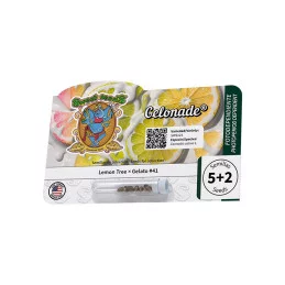 Gelonade® - Sweet Seeds - originální balení semen 5+2
