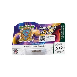 Super Boof XL Auto® - Sweet Seeds - originální balení semen 5+2 ks