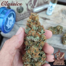 Buddha Skunk - Buddha Seeds - sušina