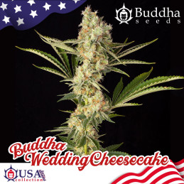Buddha Wedding Cheesecake - palice