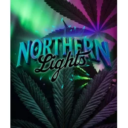 Northern Lights Barney’s Farm – logo odrůdy