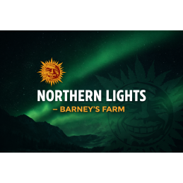 Northern Lights – Barney’s...